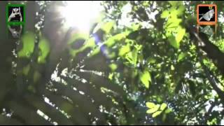 East of the Equator by The Teardrop Explodes