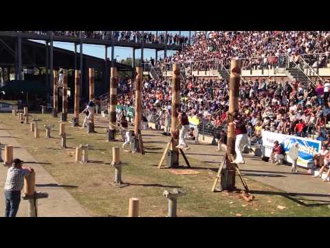 325mm World Championship Tree Felling Final