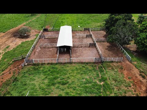 Venda Rápida, Fazenda na Região de General Carneiro MT 💢Área total 1.825 hectares (377 Alqueirão).