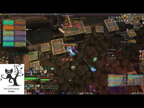 Fusion vs Spoils of Pandaria (10 Heroic) Feral Druid PoV
