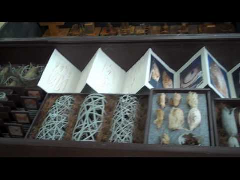 Duisburger Kunstverein goes Forum Duisburg - ContainerTransit