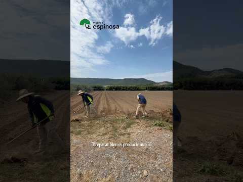 Preparación de la tierra para siembra