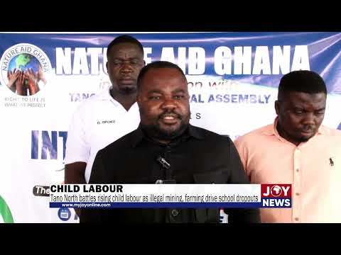 Child labour:Tano North battles rising child labour as illegal mining, farming drive school dropouts