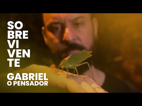 download lagu mp3 mp4 Pensador, download lagu Pensador gratis, unduh video klip Pensador