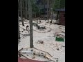 13 Year Old Designs Mini Golf Course Part 1
