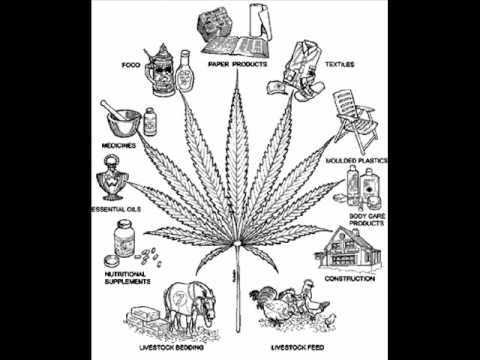 Zionomi - Ganja hold yuh