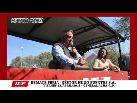 REMATE FERIA: N.H.F. S.A. - GRAL. ACHA -VIE-13-ABRIL -NOVILLOS-NOVILLITOS-
