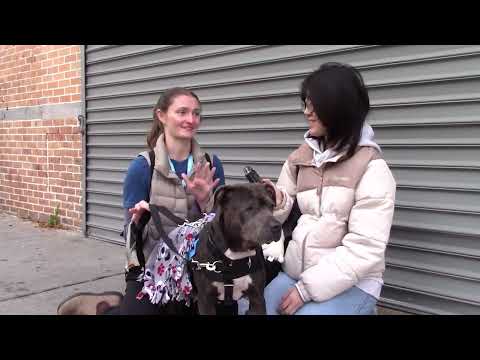 Video thumbnail for the Inside the Adoption Event final documentary