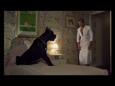 Jean-Paul Belmondo macht alle Stunts selbst :-)