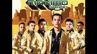 El Gallo - Maximo Grado 2015