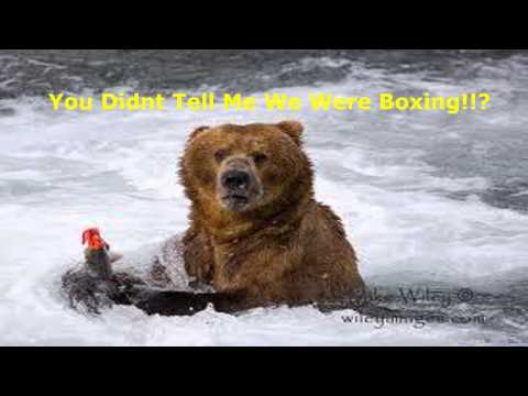 Runescape-Patch/Add-on For Lure Guide One| #BearLures-Caelan Bear [fc]