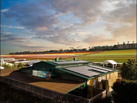 Wingman Photography video.