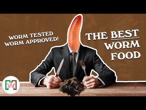 What to Feed Red Wigglers & European Nightcrawlers + Bedding Tips