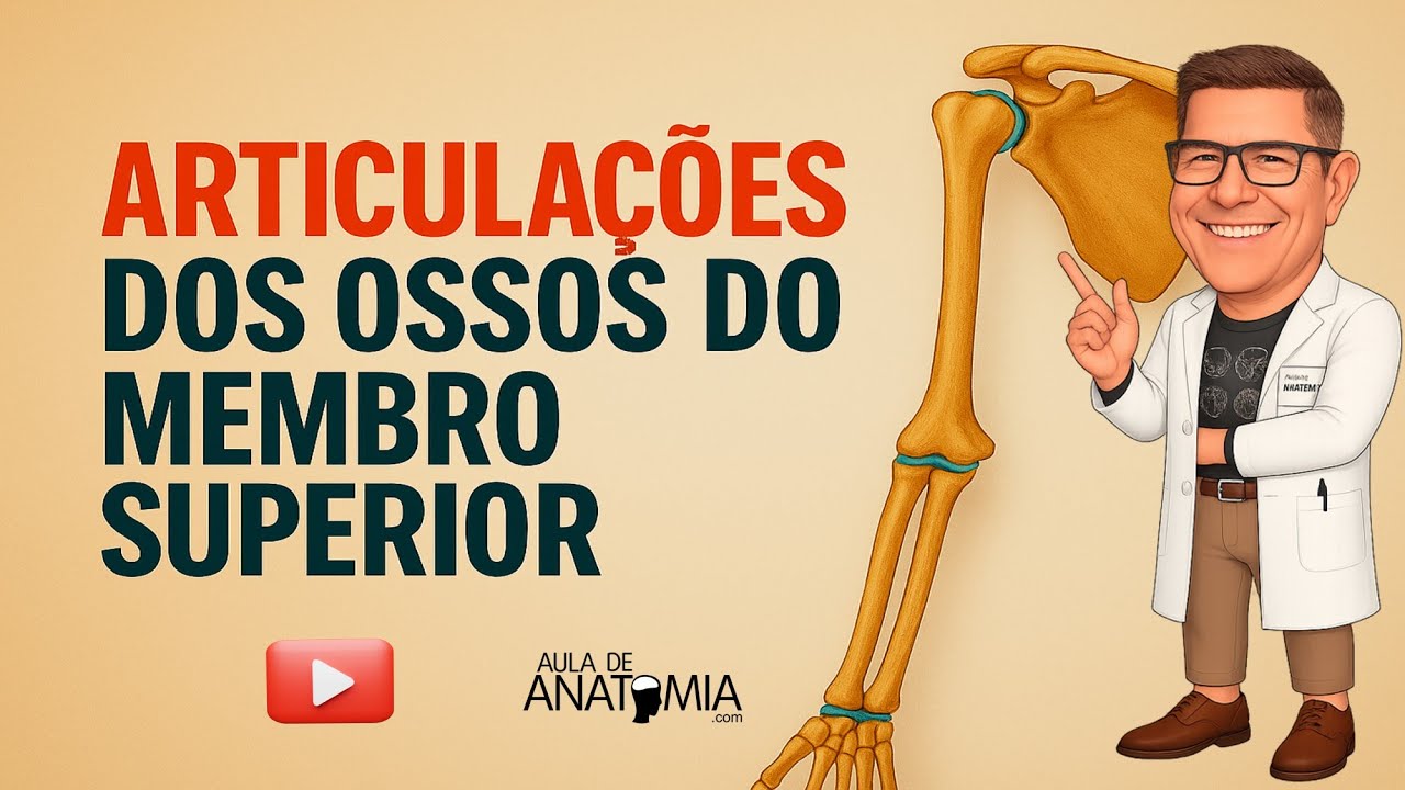 ARTICULAÇÕES DOS OSSOS DO MEMBRO SUPERIOR #anatomy #medicina #anatomia #fisioterapia #aula #video