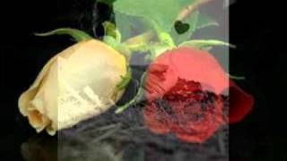 MONTEZ DE DURANGO- MI NECESIDAD