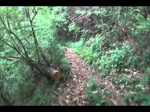 sentiero monte faeit