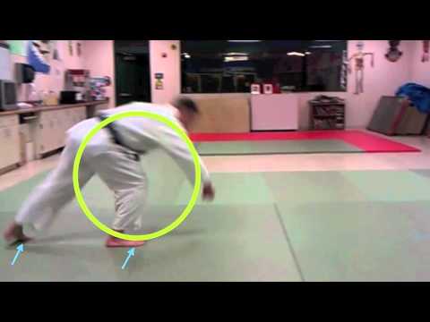 Aikido Ukemi Clinic 1 - forward roll (zenpo kaiten ukemi)