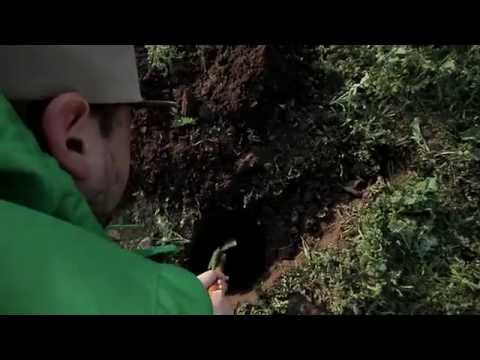 Celălalt - Amalgam cu Dj Pilu (videoclip oficial)