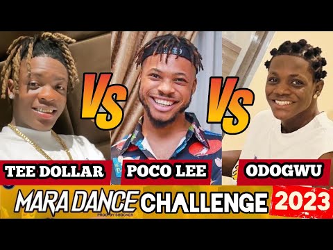 Poco lee vs Tee dollar vs Odogwu Mara dance challenge, who is the mara best dancer
