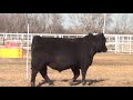 Express Ranches Lot 59