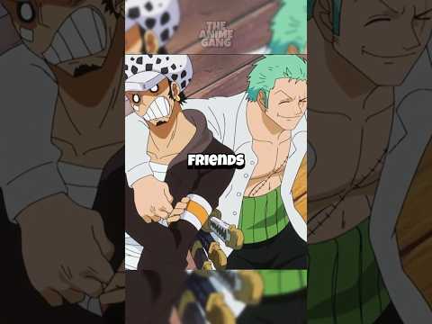 Zoro and Law are best friends😭