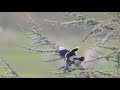 Idhayam Oru Kovil Tamil Song BGM