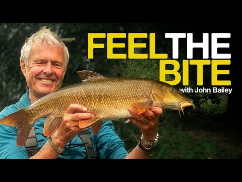 Barbel Fishing with John Bailey - Feel the Bite (River Wye)