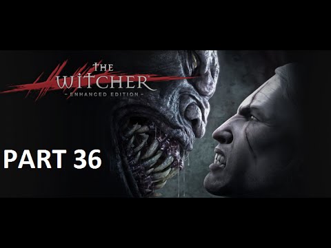 Let's Play The Witcher: Enhanced Edition Part 36: Returning To Raymond