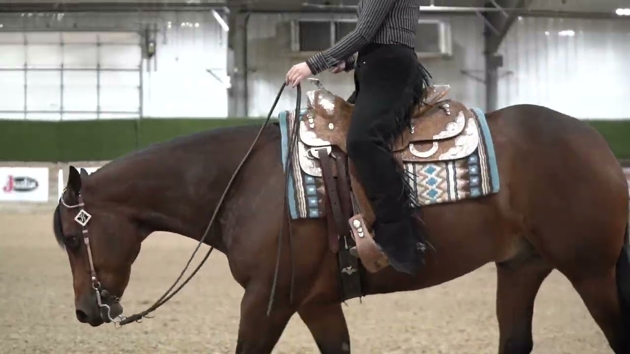 Nutrena Ride the Pattern Clinic: Horsemanship