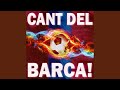 Barcelona Fc Theme Song