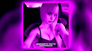 Santigold - Disparate Youth (Summit Techno Remix)