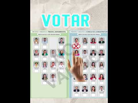 Dra. Marisol Camargo, natural de RAVELO provincia Chayanta Norte Potosí, al Consejo de Magistratura