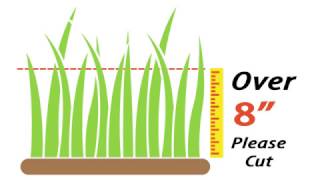 Weeds Code Enforcement PSA