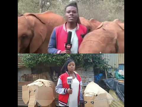 PARODY #Kbc #reporter  #Journalism #WildLife #Ecosystem #Nature #ShorterIsBetter #Mimic #Recreation