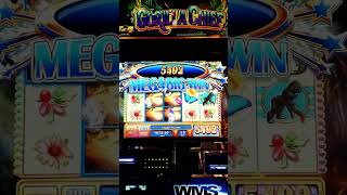 Gorilla Chief 3 - $5 Bet - Mega Big Win #maxbets #casino #bigwin #slotmachine #games #win