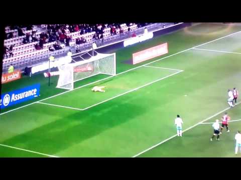 WYLAN CYPRIEN : magnifique but