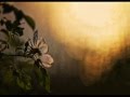Matt Monro - Yesterday 