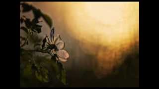 Matt Monro - Yesterday