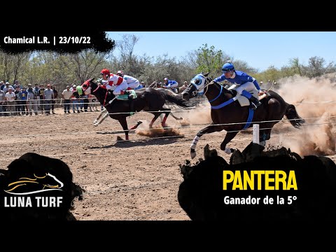HIP. "EL QUEBRACHAL" CHAMICAL L.R. || 23/10/2022 :: PANTERA; SRTA. OFELIA; EMPERADOR; VALIENTE; PIKA