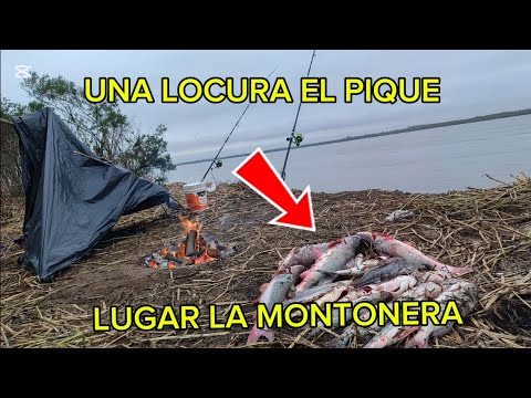 FIGHIERA SANTA FE LOS PESQUEROS DE GOMITAR PESCA Y COCINA MUCHO PIQUE UNA LOCURA 🐟🐟🐟🐟🎣