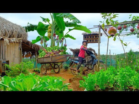 Harvest A Truckload Of Vegetables And Fruits To Sell At The Market