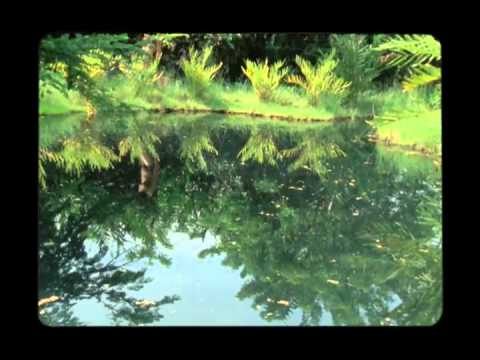 Systema Solar - "Malpalpitando" (Official Music Video)