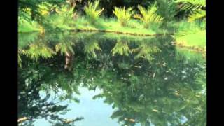 Systema Solar - Malpalpitando