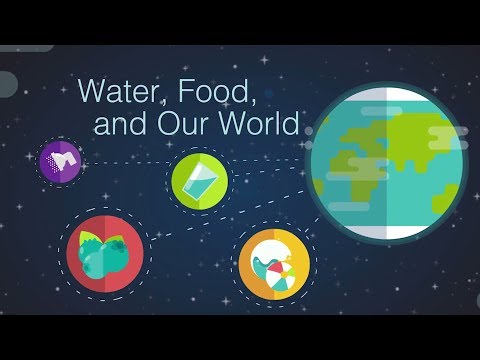 Water, Food, and Our World
