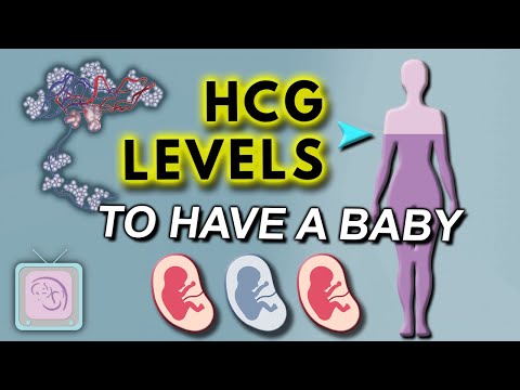 hCG levels in early pregnancy -  Does hCG have to double in 2 days?