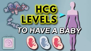 hCG levels in early pregnancy -  Does hCG have to 