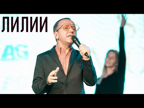 Михаил Гребенщиков - Лилии Fashion