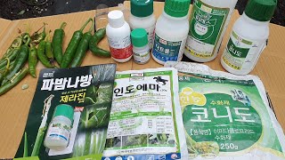 고추살균제 7가지 치료방법,탄저병,칼라병,역병,바이러스,세균성점무늬병,무름병, 젯빛곰팡이병