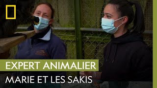Morgane : Une nouvelle recrue en action | UNE SAISON AU ZOO