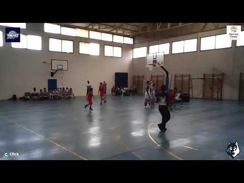 PREINFANTIL MACULINO : CB 7 Palmas -  Tara Telde